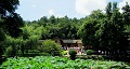 長(zhǎng)沙出發(fā)到花明樓、韶山、張家界國家森林公園、天門仙山國家森林公園四日游
